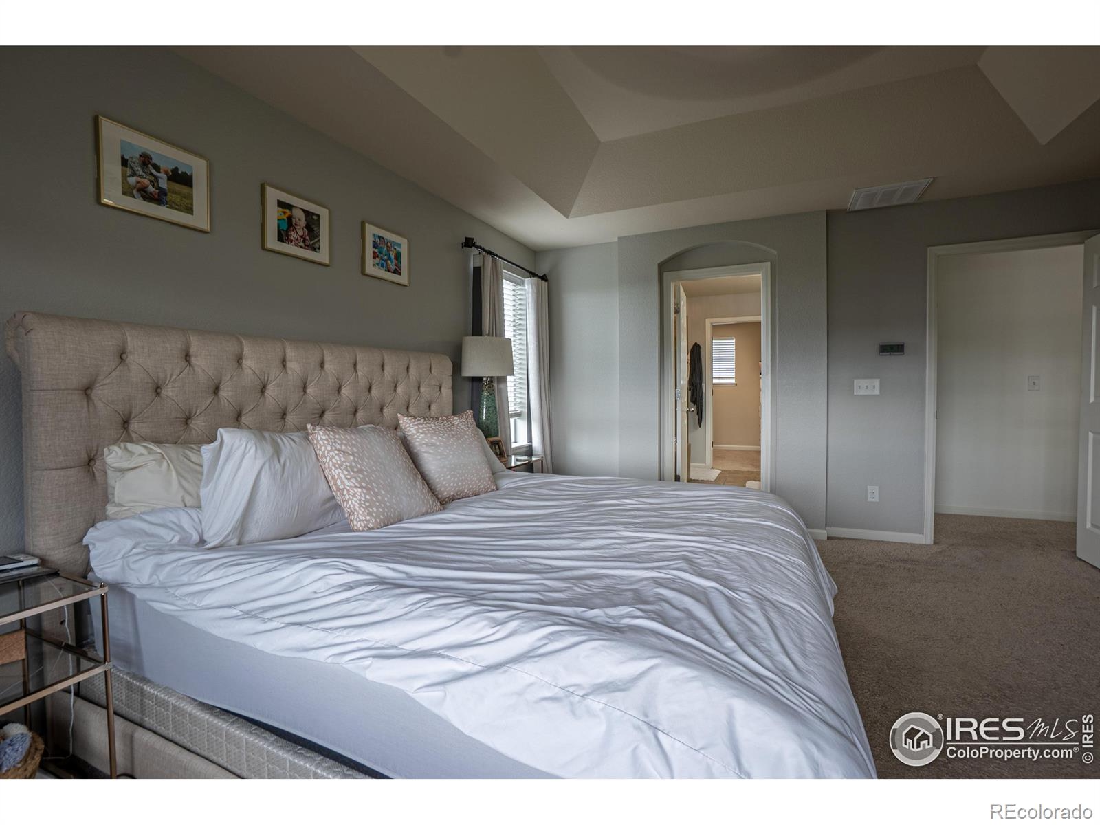 MLS Image #19 for 107  ibiza court,windsor, Colorado