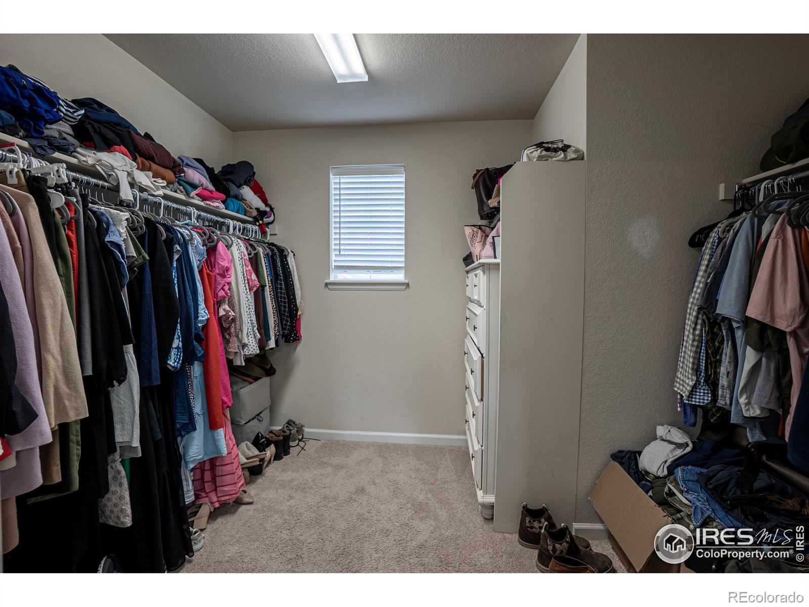 MLS Image #25 for 107  ibiza court,windsor, Colorado