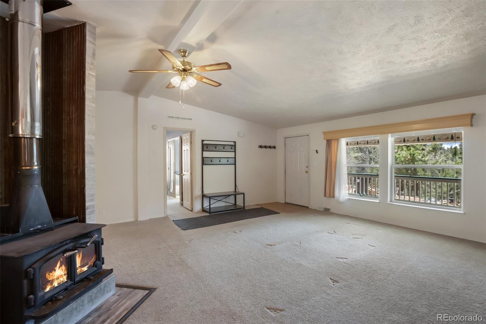 MLS Image #5 for 1011 w bison creek trail,divide, Colorado
