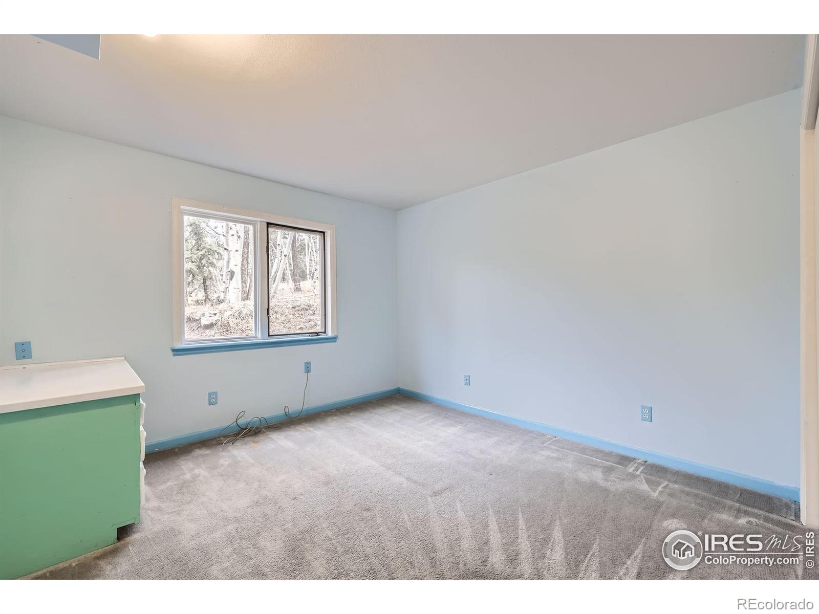 MLS Image #17 for 26167  de berry street,conifer, Colorado