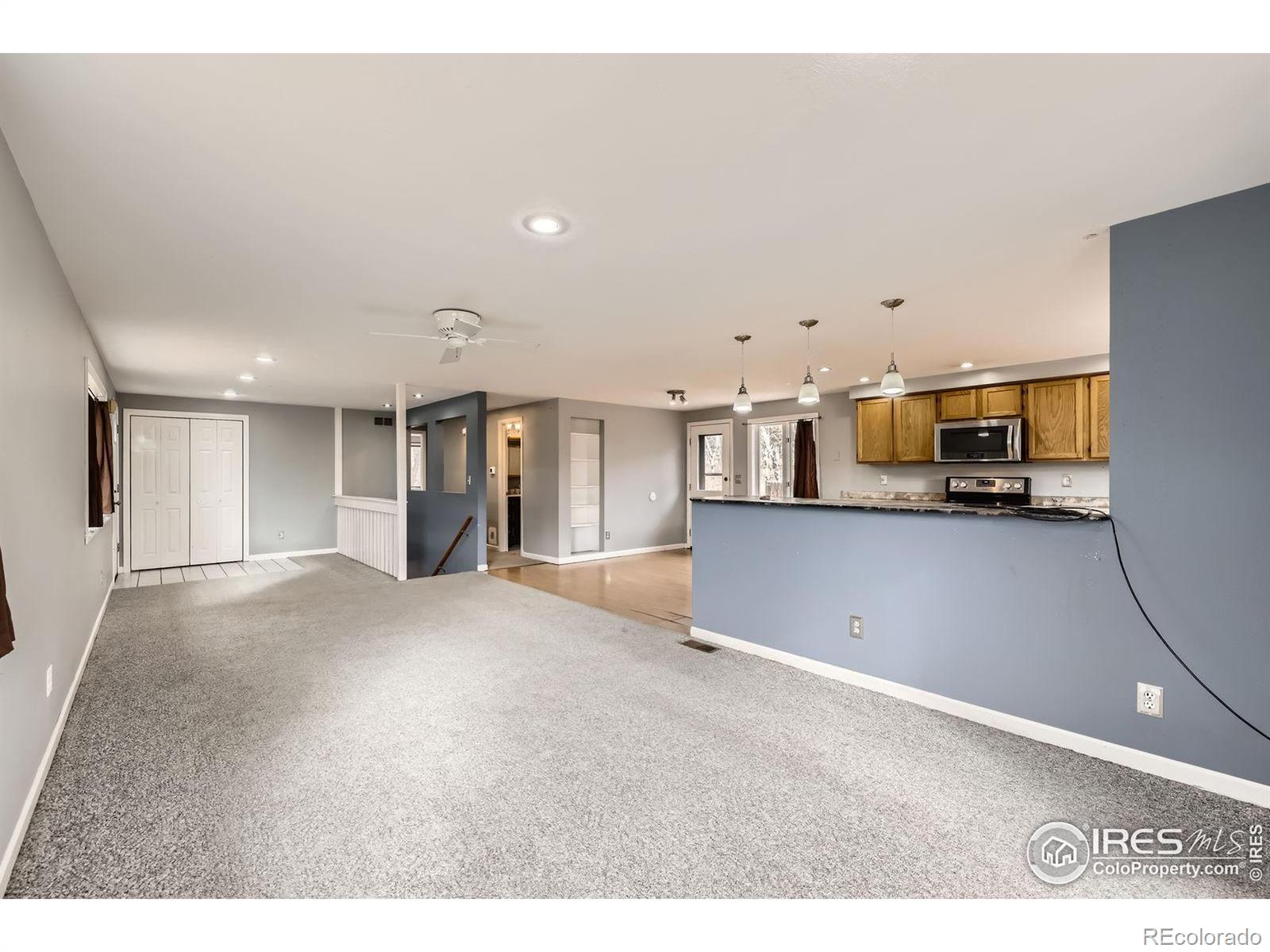 MLS Image #8 for 26167  de berry street,conifer, Colorado