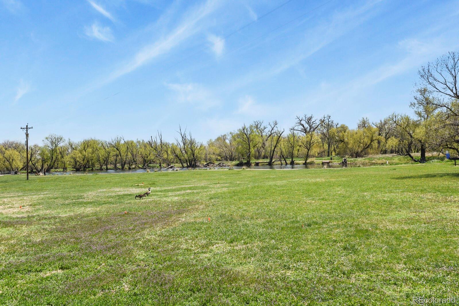 MLS Image #36 for 2557 s dover street,lakewood, Colorado