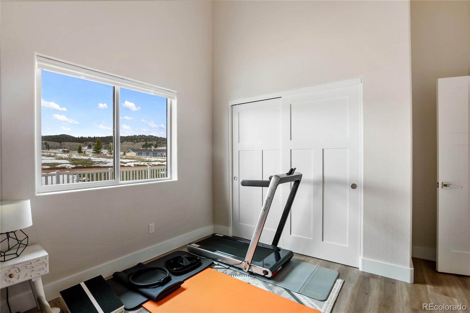 MLS Image #14 for 163  minstrel drive,divide, Colorado