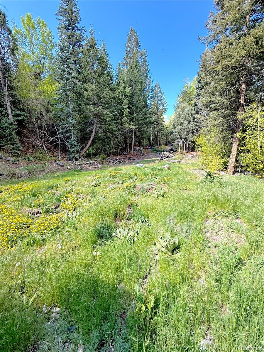 MLS Image #36 for 1408  county road 48 ,howard, Colorado
