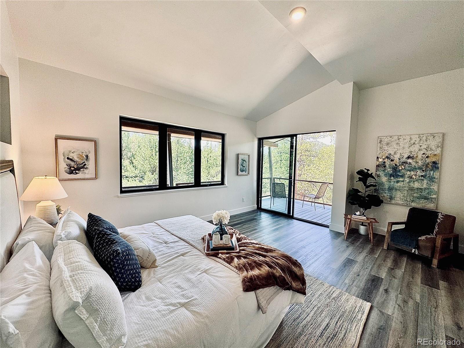 MLS Image #16 for 1282 n crystal road,lake george, Colorado
