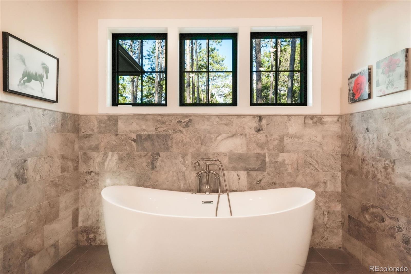 MLS Image #12 for 18330  archers drive,monument, Colorado