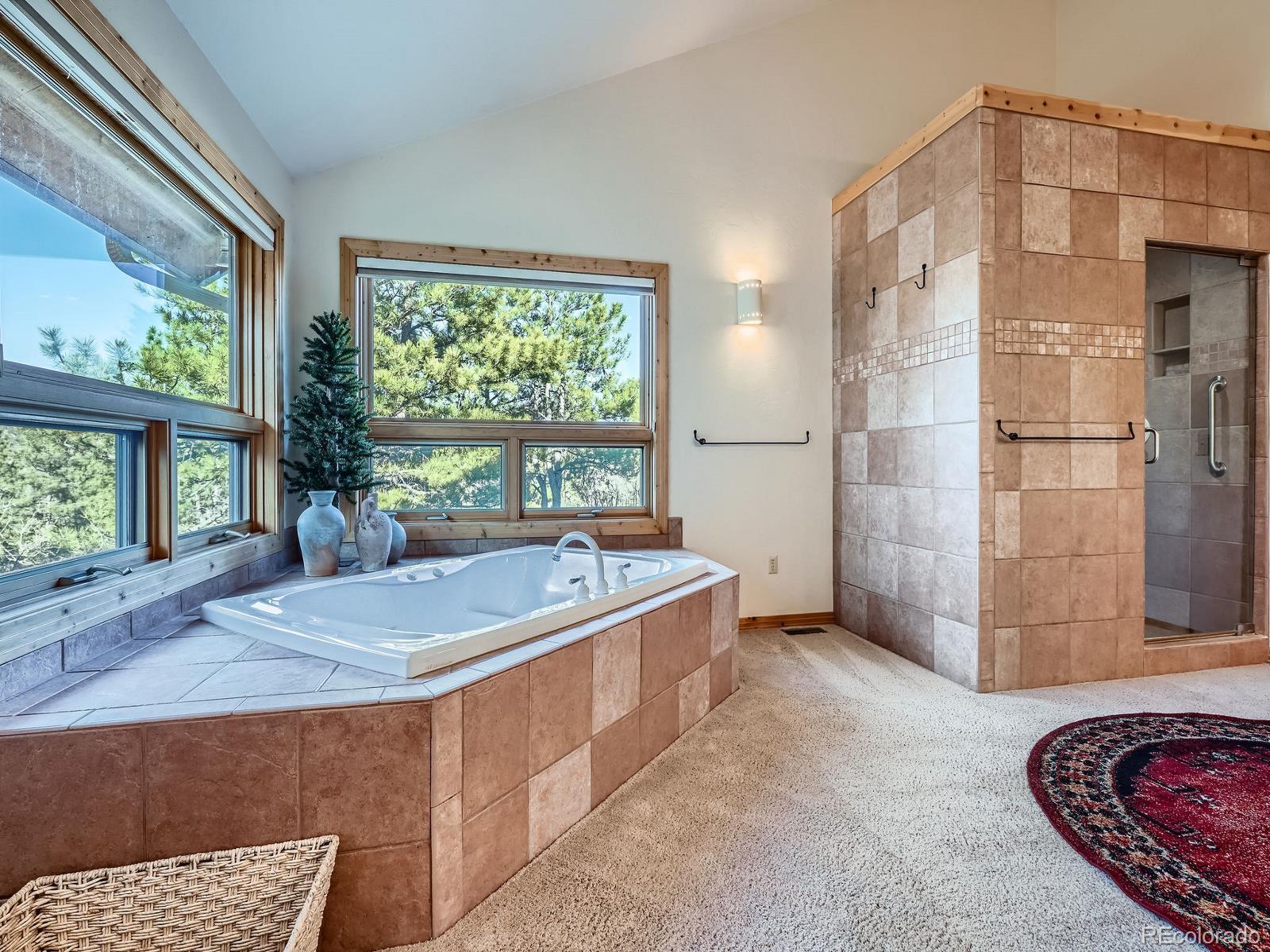 MLS Image #13 for 7076  boreas road,larkspur, Colorado