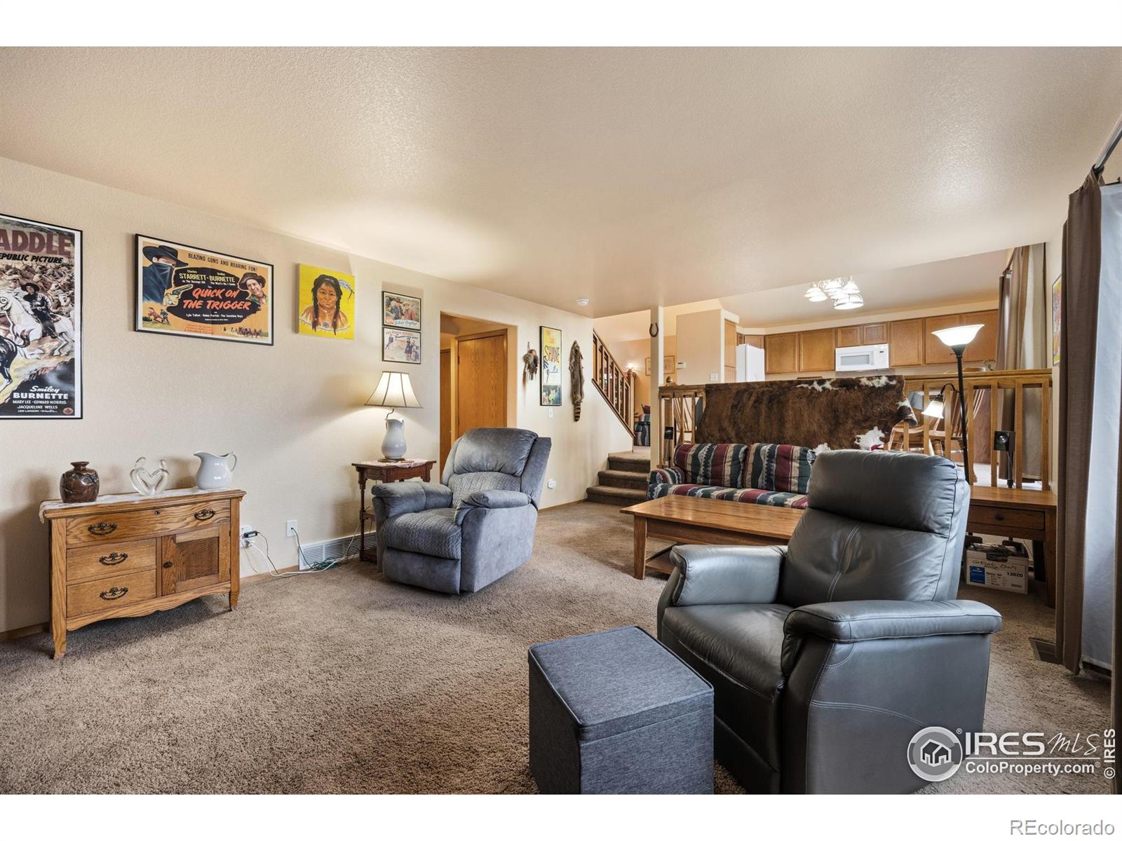 MLS Image #11 for 3949  willowood avenue,loveland, Colorado