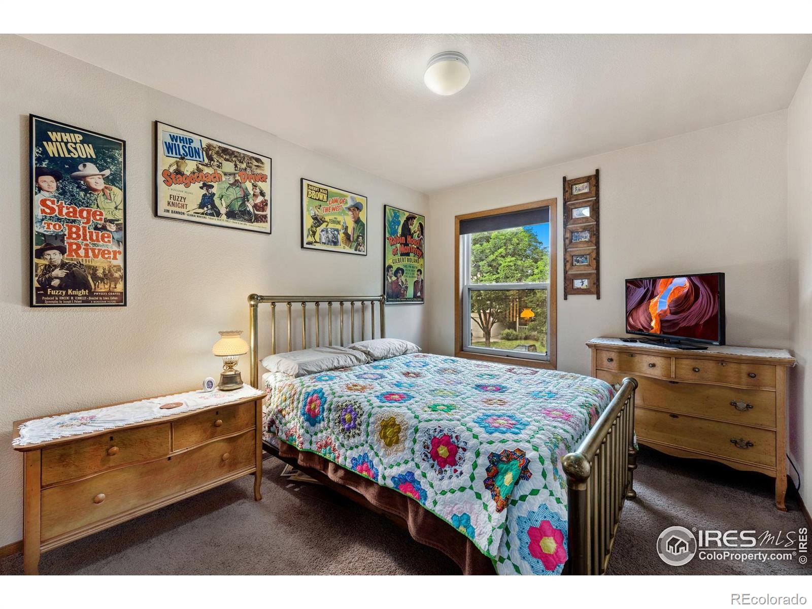 MLS Image #18 for 3949  willowood avenue,loveland, Colorado