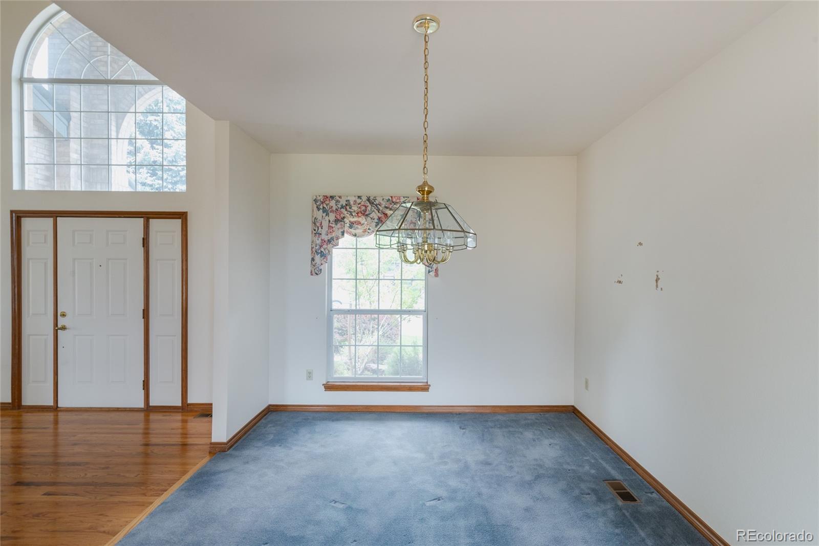 MLS Image #13 for 116  willowleaf drive,littleton, Colorado