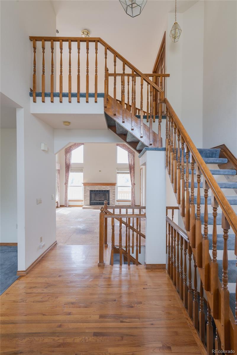 MLS Image #14 for 116  willowleaf drive,littleton, Colorado