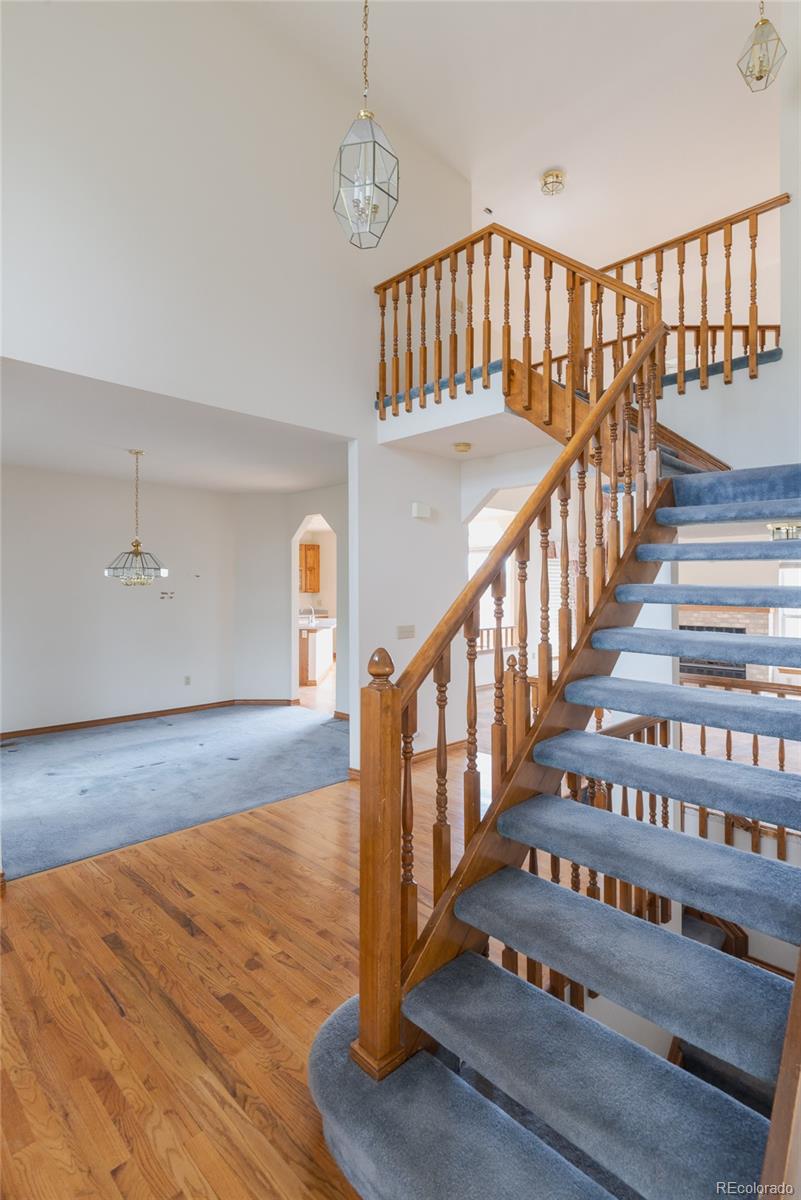 MLS Image #15 for 116  willowleaf drive,littleton, Colorado