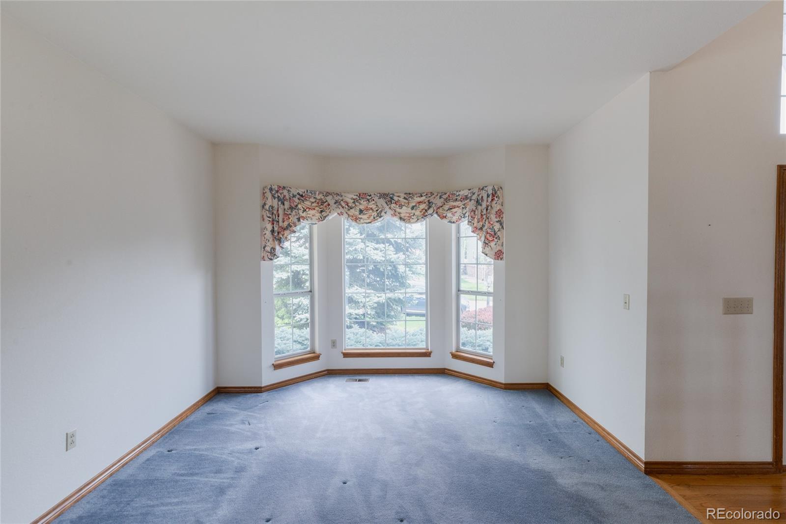 MLS Image #20 for 116  willowleaf drive,littleton, Colorado