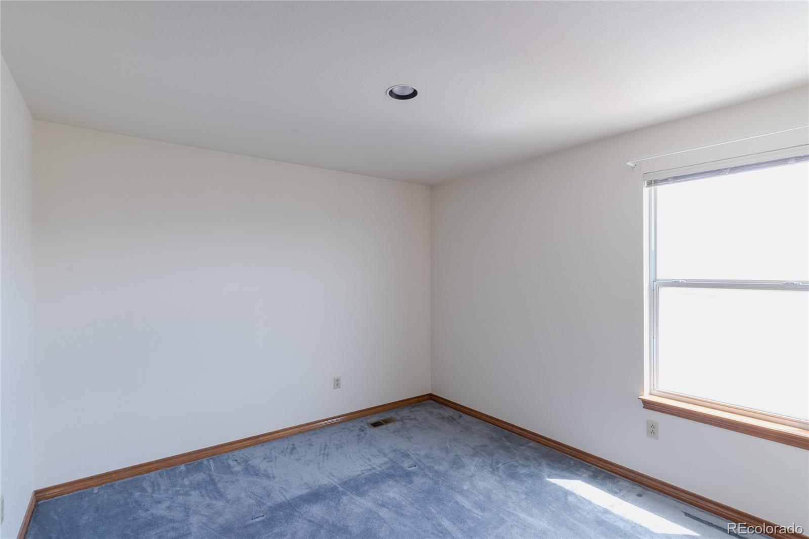 MLS Image #26 for 116  willowleaf drive,littleton, Colorado