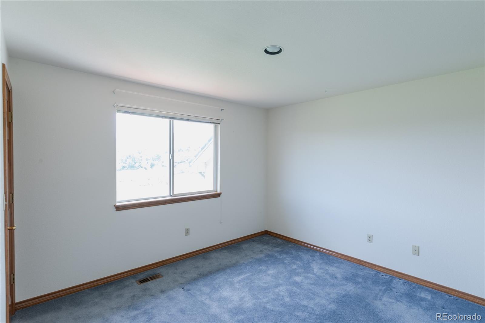 MLS Image #29 for 116  willowleaf drive,littleton, Colorado