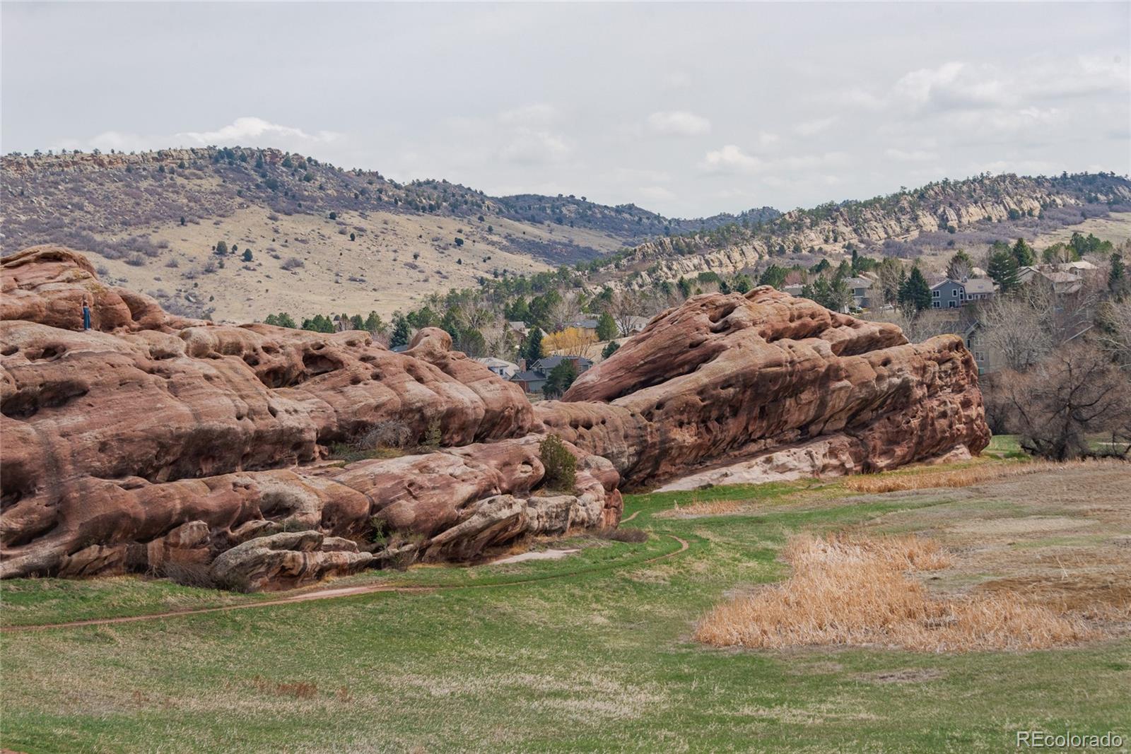 MLS Image #4 for 116  willowleaf drive,littleton, Colorado