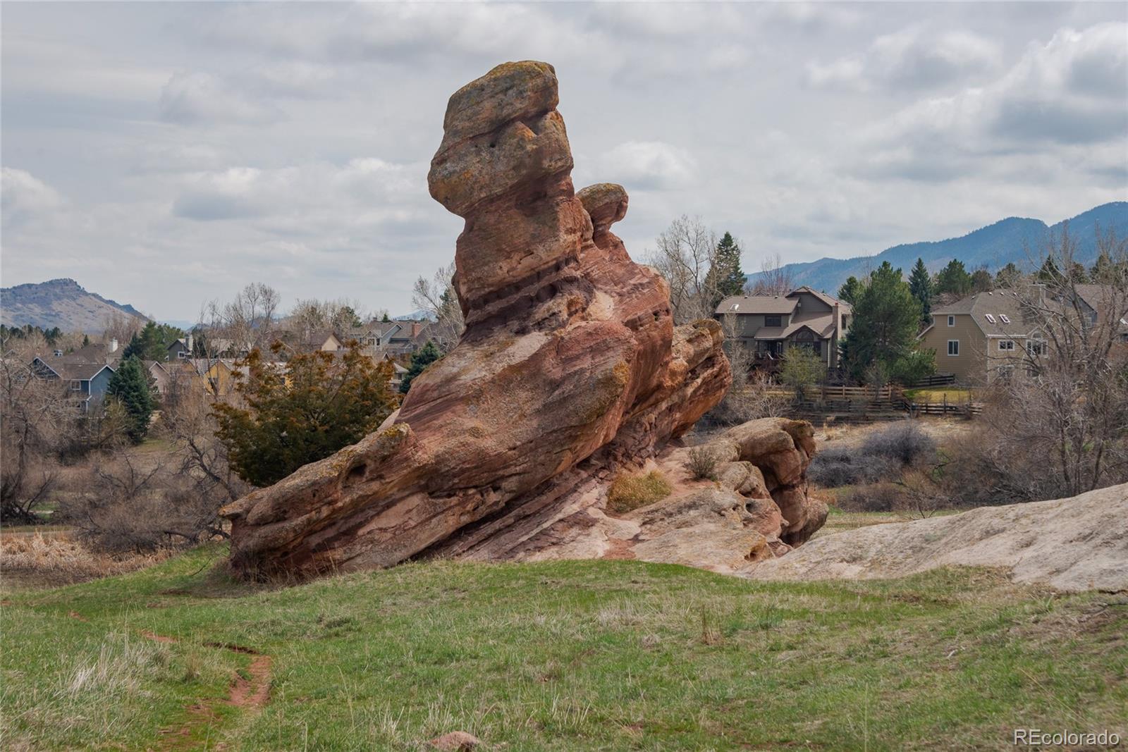 MLS Image #5 for 116  willowleaf drive,littleton, Colorado