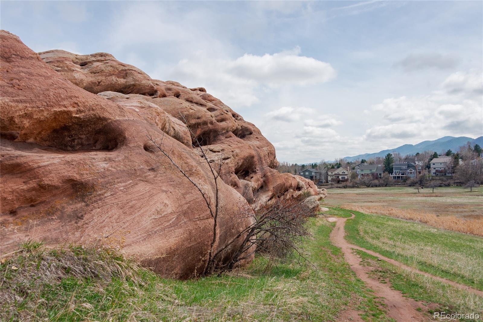MLS Image #6 for 116  willowleaf drive,littleton, Colorado