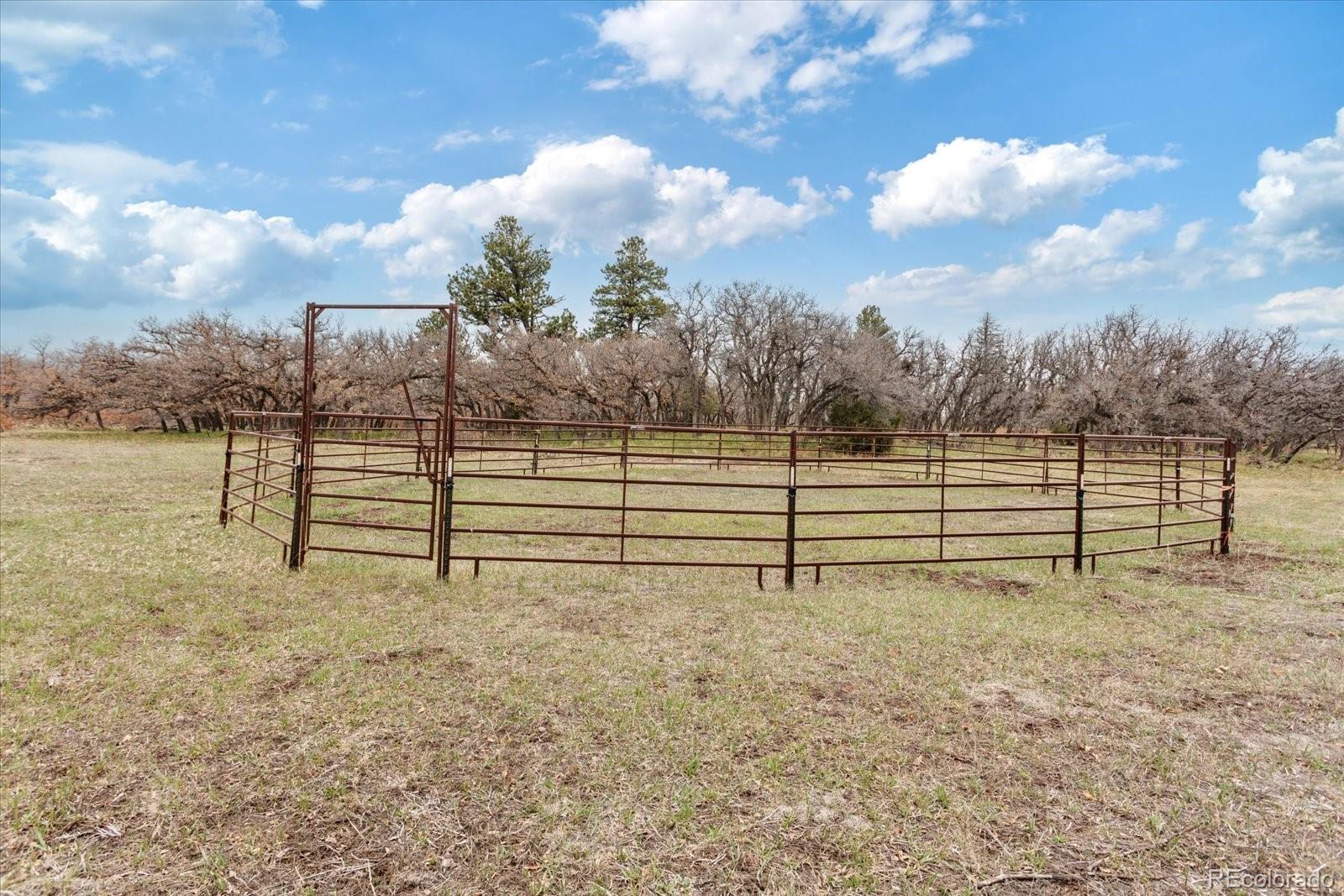 MLS Image #19 for 1423  county road 192 ,westcliffe, Colorado