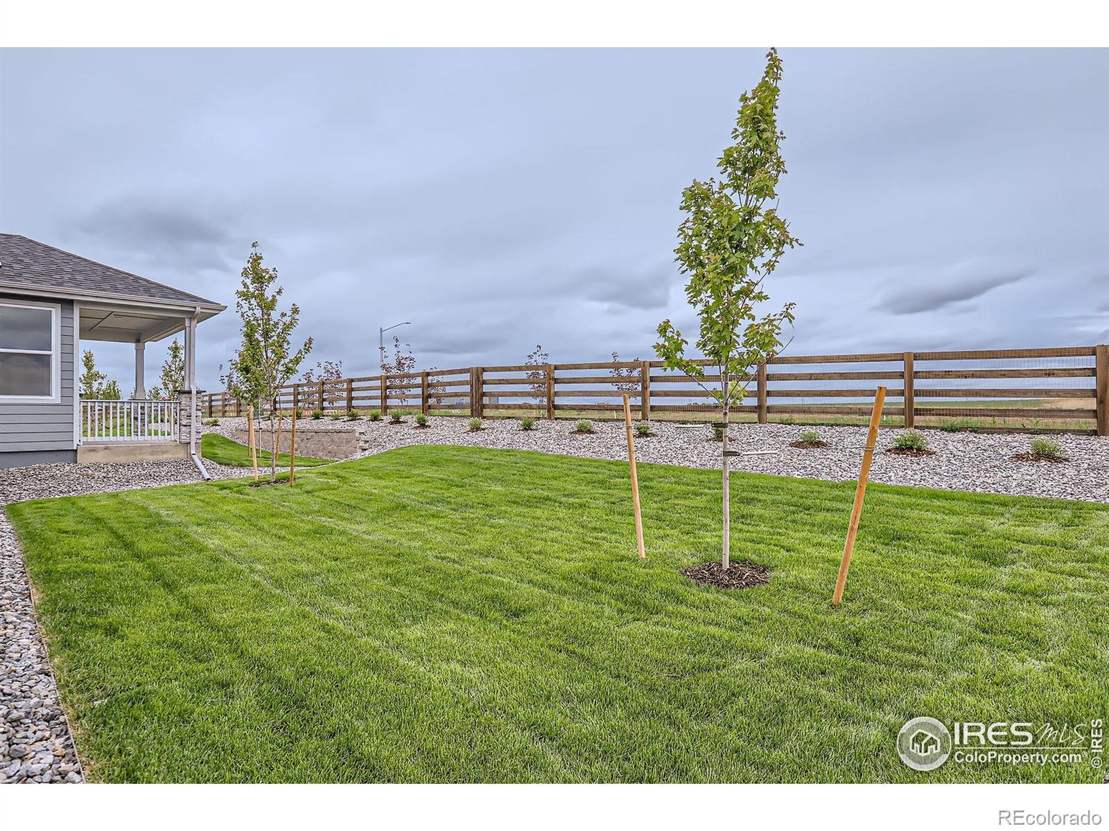 MLS Image #26 for 5901  aspenglow street,longmont, Colorado