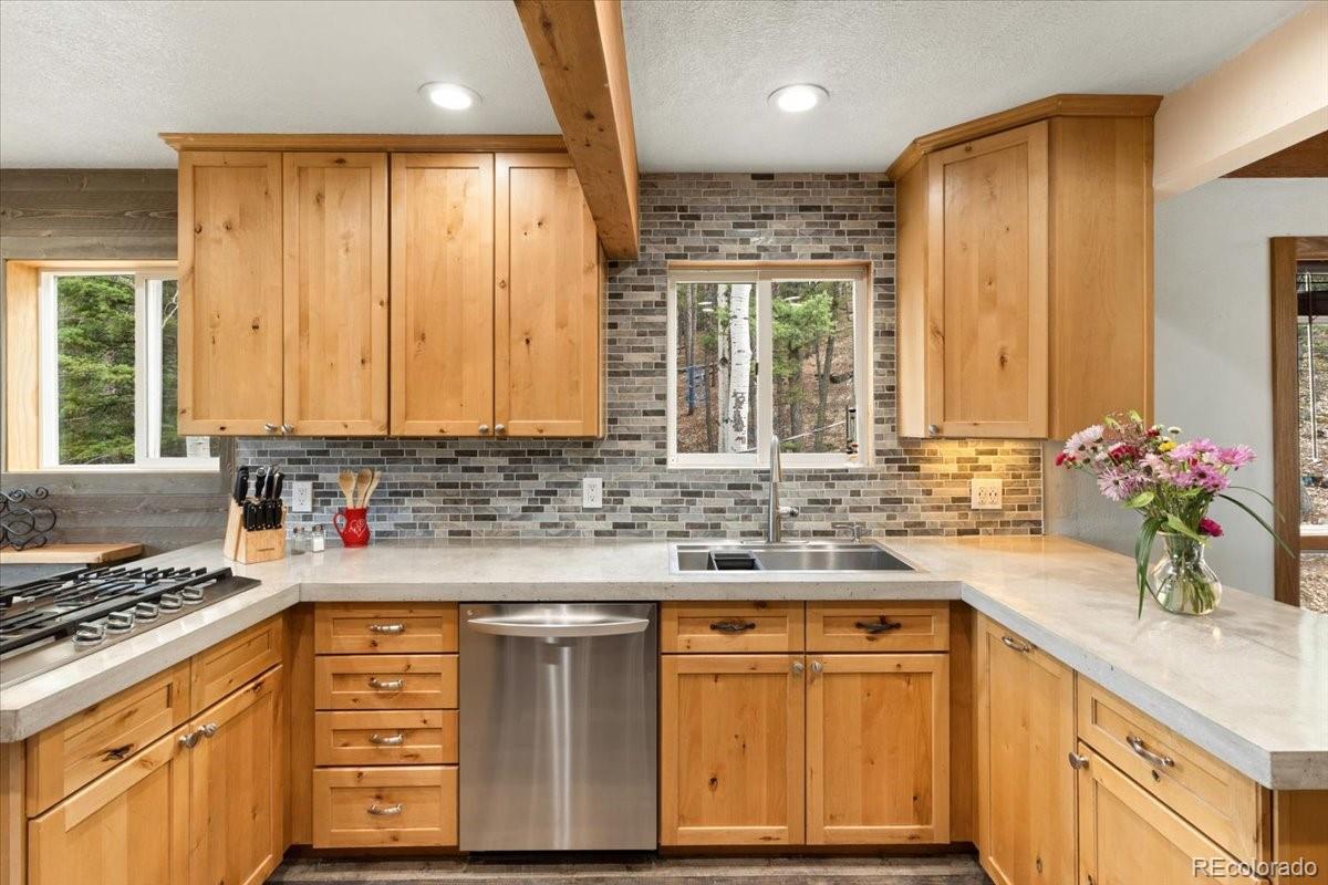 MLS Image #12 for 11724  little turtle lane,conifer, Colorado