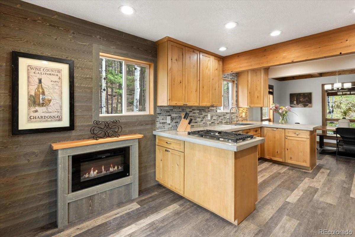 MLS Image #13 for 11724  little turtle lane,conifer, Colorado