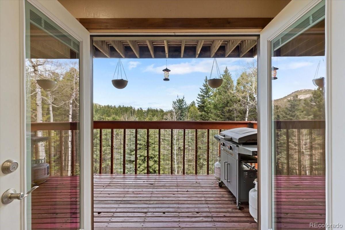 MLS Image #14 for 11724  little turtle lane,conifer, Colorado