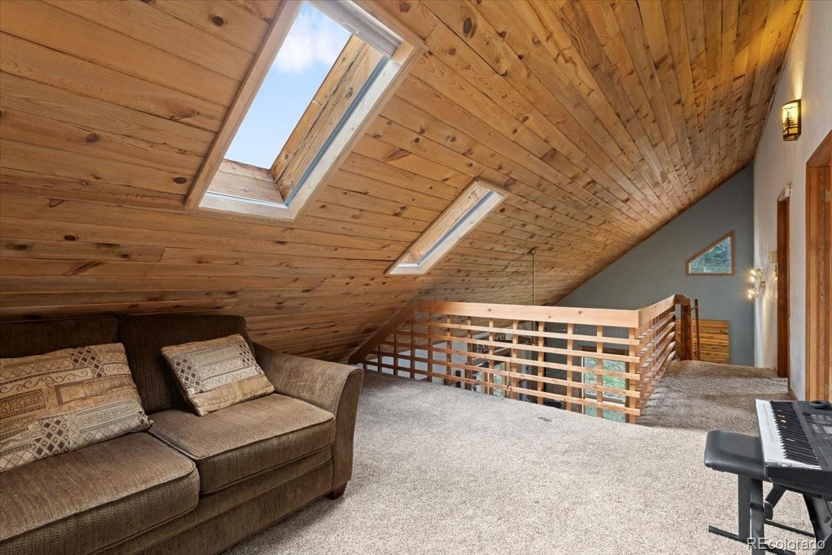 MLS Image #18 for 11724  little turtle lane,conifer, Colorado