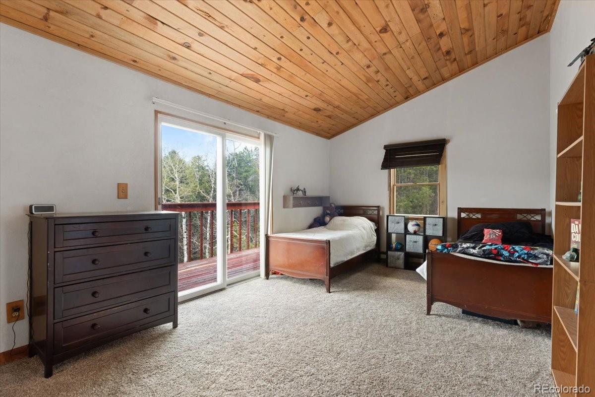 MLS Image #19 for 11724  little turtle lane,conifer, Colorado