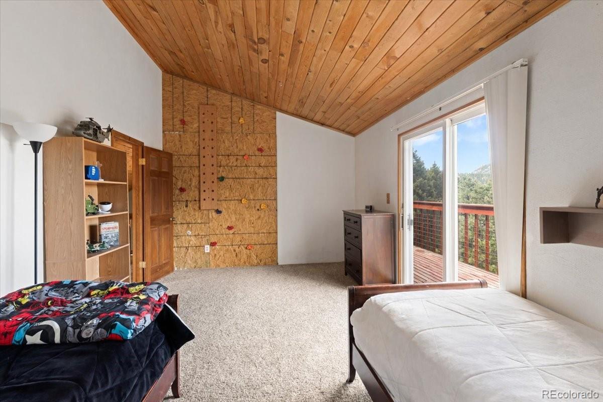 MLS Image #20 for 11724  little turtle lane,conifer, Colorado