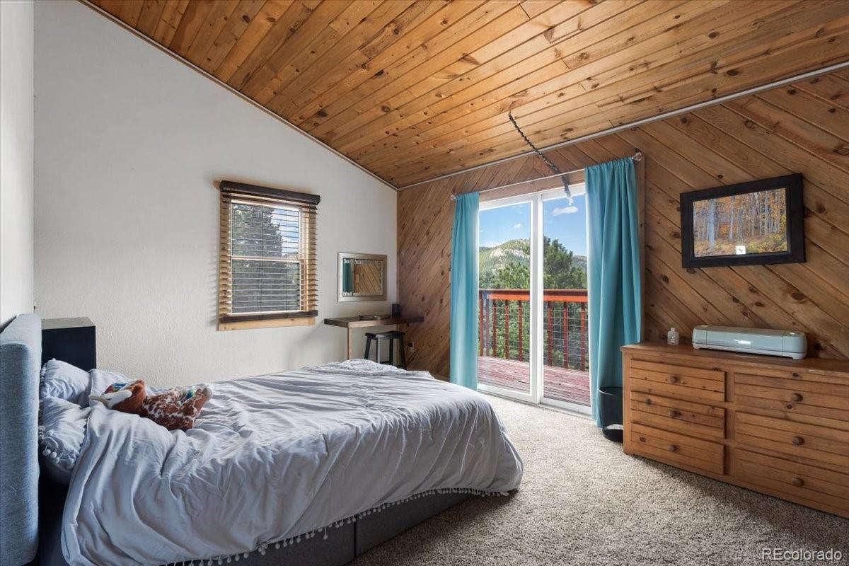 MLS Image #22 for 11724  little turtle lane,conifer, Colorado