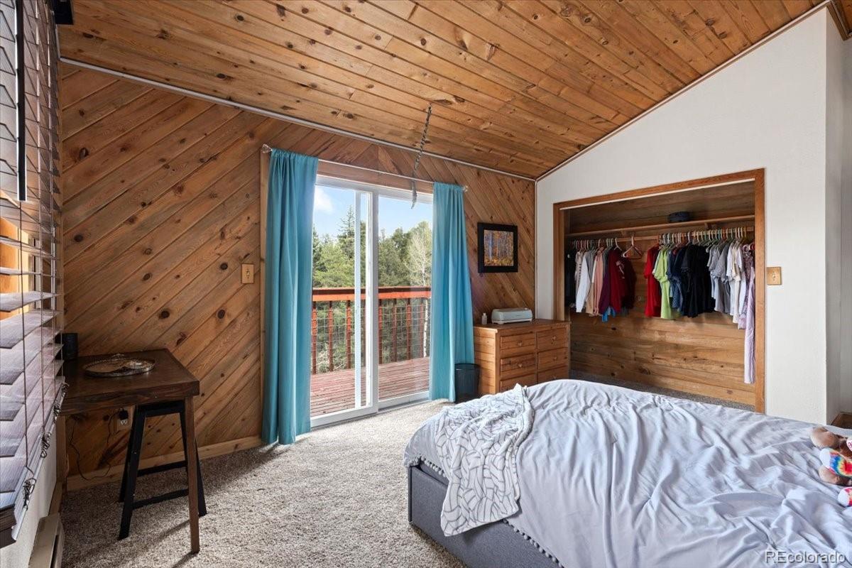 MLS Image #23 for 11724  little turtle lane,conifer, Colorado