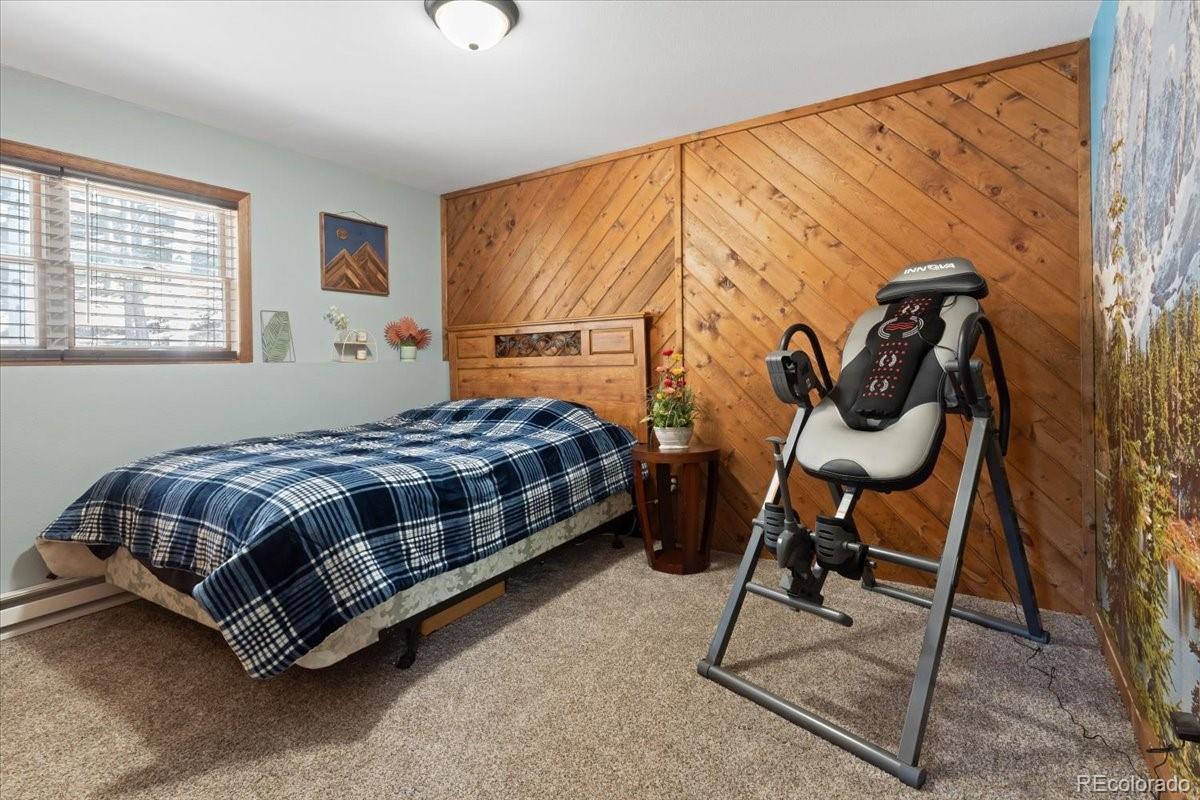 MLS Image #26 for 11724  little turtle lane,conifer, Colorado