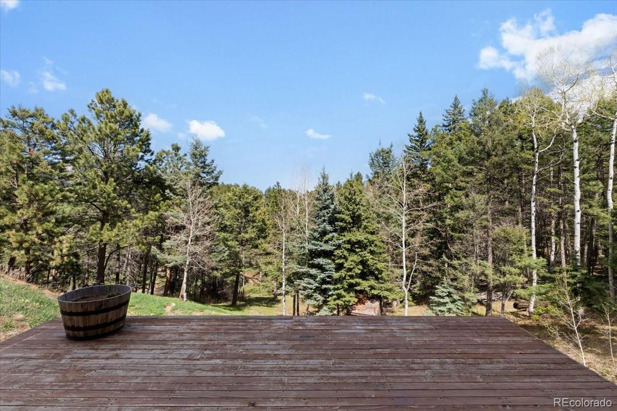 MLS Image #28 for 11724  little turtle lane,conifer, Colorado