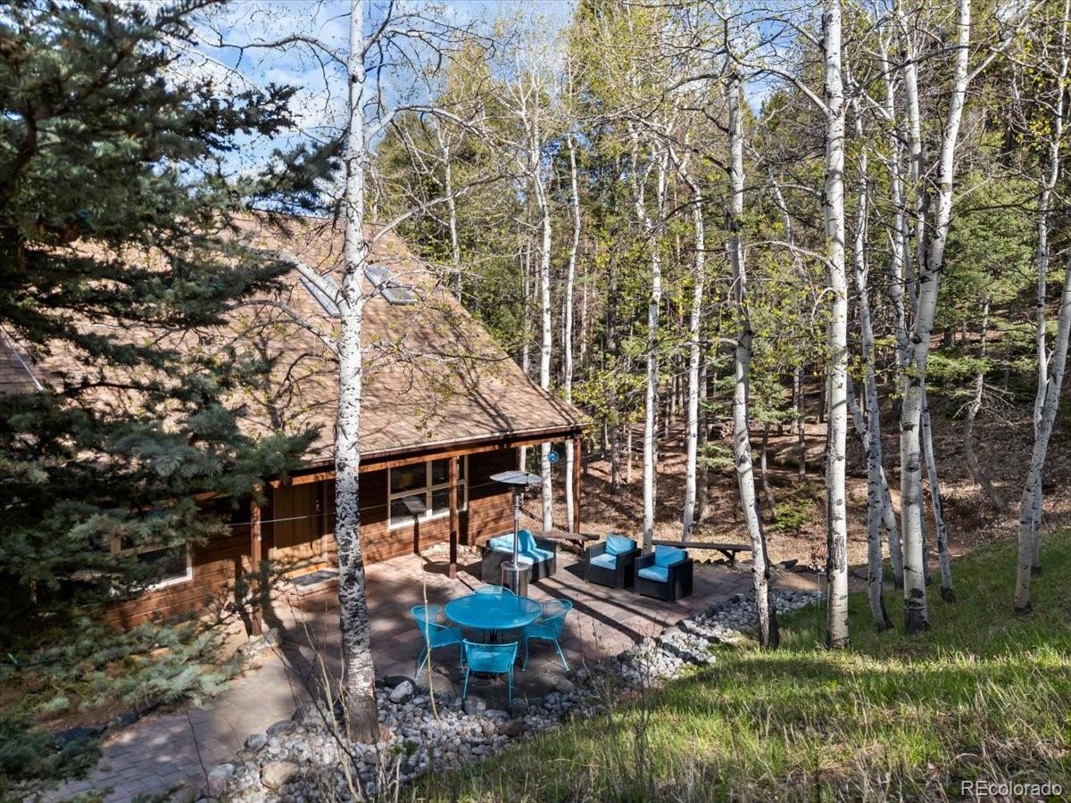 MLS Image #3 for 11724  little turtle lane,conifer, Colorado