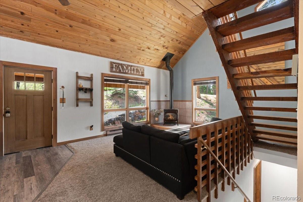 MLS Image #5 for 11724  little turtle lane,conifer, Colorado
