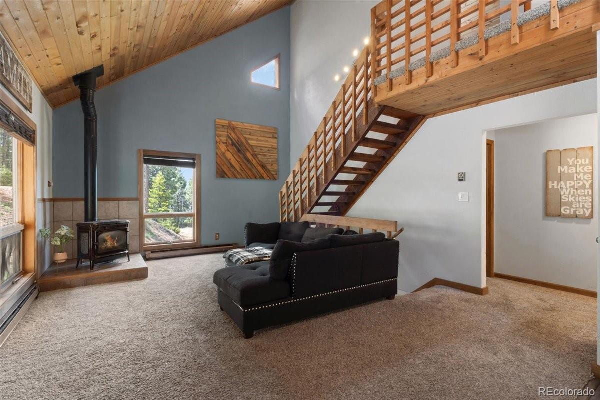 MLS Image #6 for 11724  little turtle lane,conifer, Colorado