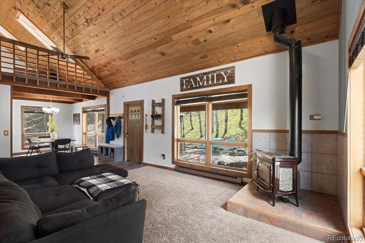MLS Image #7 for 11724  little turtle lane,conifer, Colorado