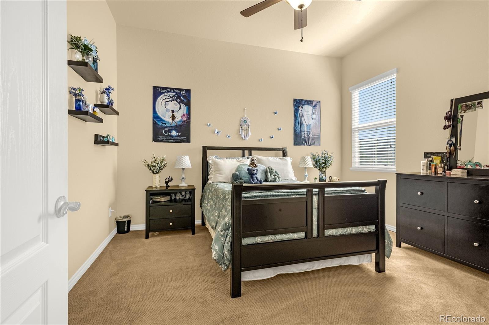 MLS Image #20 for 7163  midnight rose drive,colorado springs, Colorado