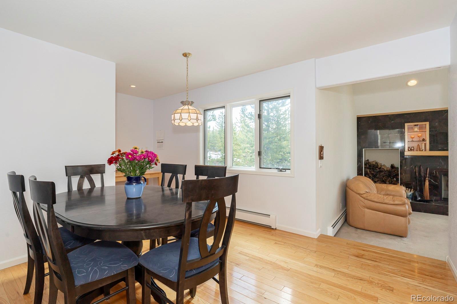 MLS Image #8 for 747  gcr 4454 ,grand lake, Colorado