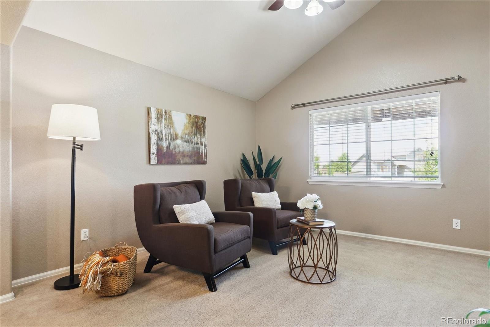 MLS Image #5 for 4804  eckert street,castle rock, Colorado