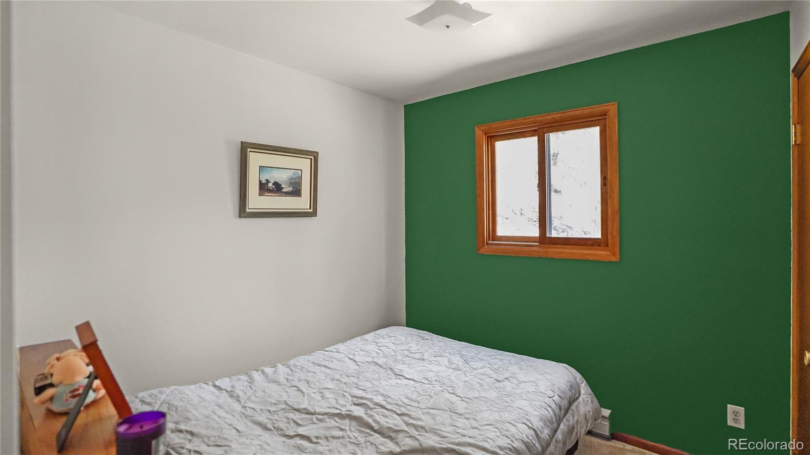 MLS Image #11 for 1269  roland drive,bailey, Colorado
