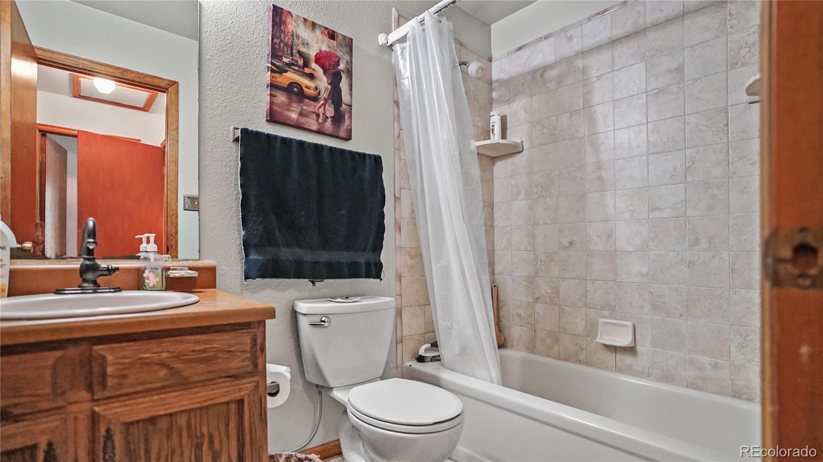MLS Image #13 for 1269  roland drive,bailey, Colorado