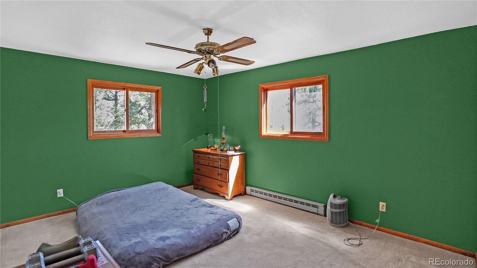 MLS Image #14 for 1269  roland drive,bailey, Colorado
