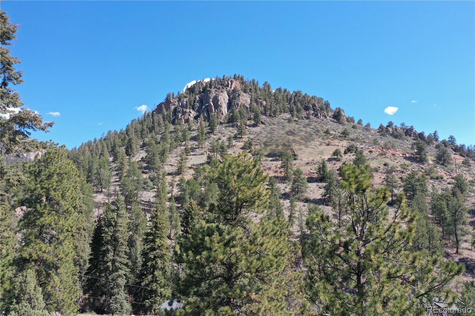 MLS Image #20 for 1269  roland drive,bailey, Colorado