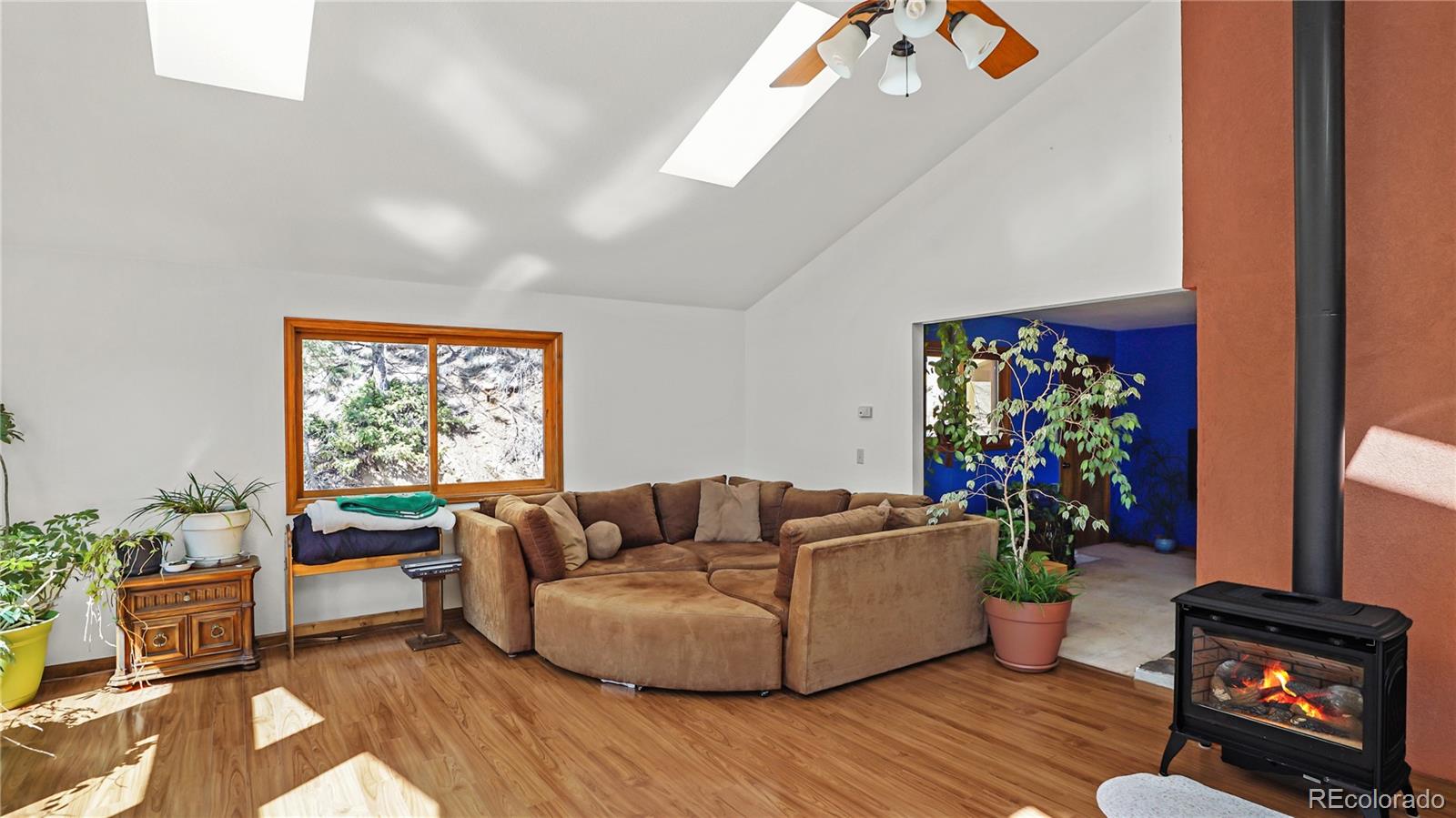 MLS Image #3 for 1269  roland drive,bailey, Colorado