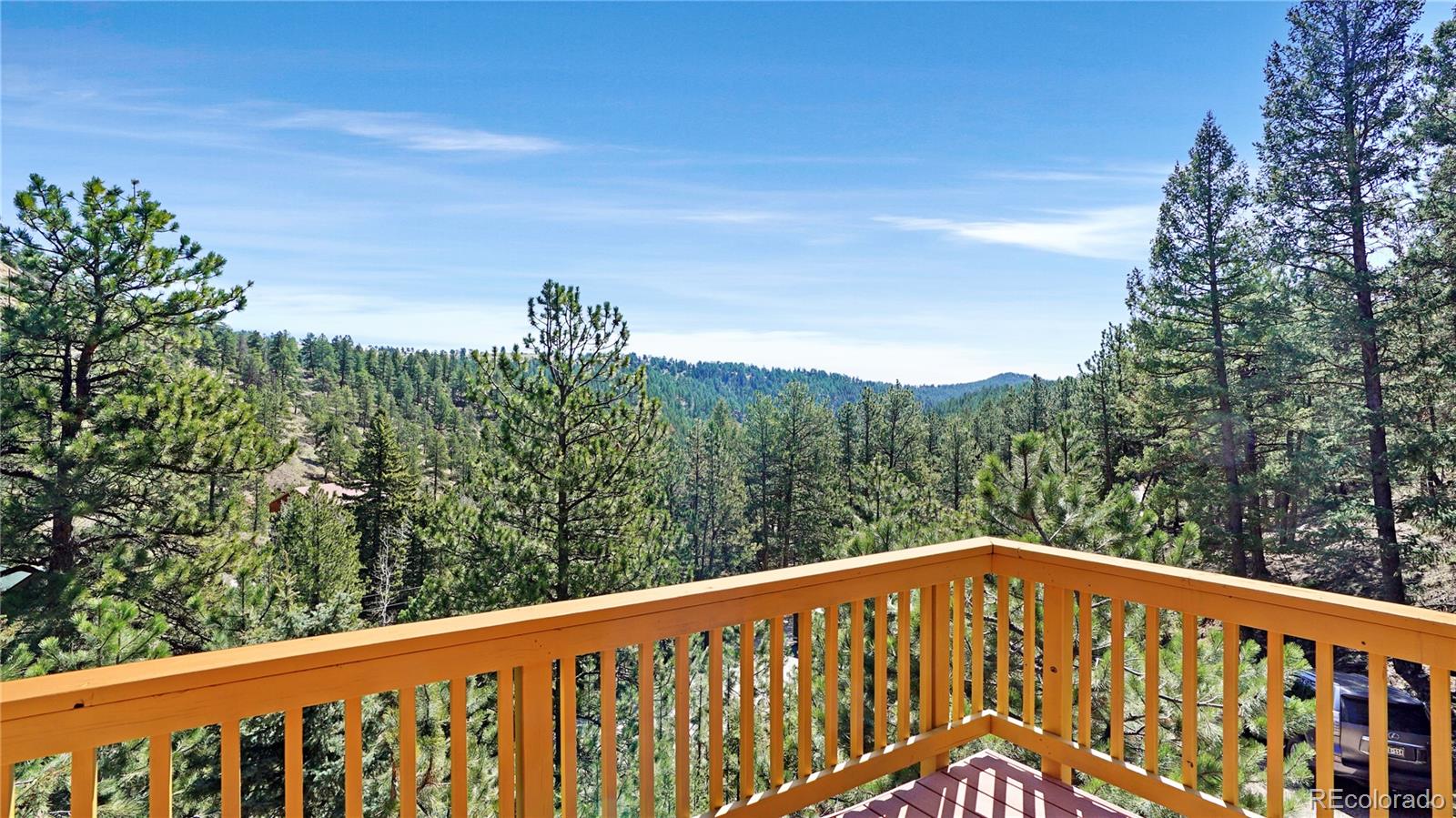 MLS Image #5 for 1269  roland drive,bailey, Colorado