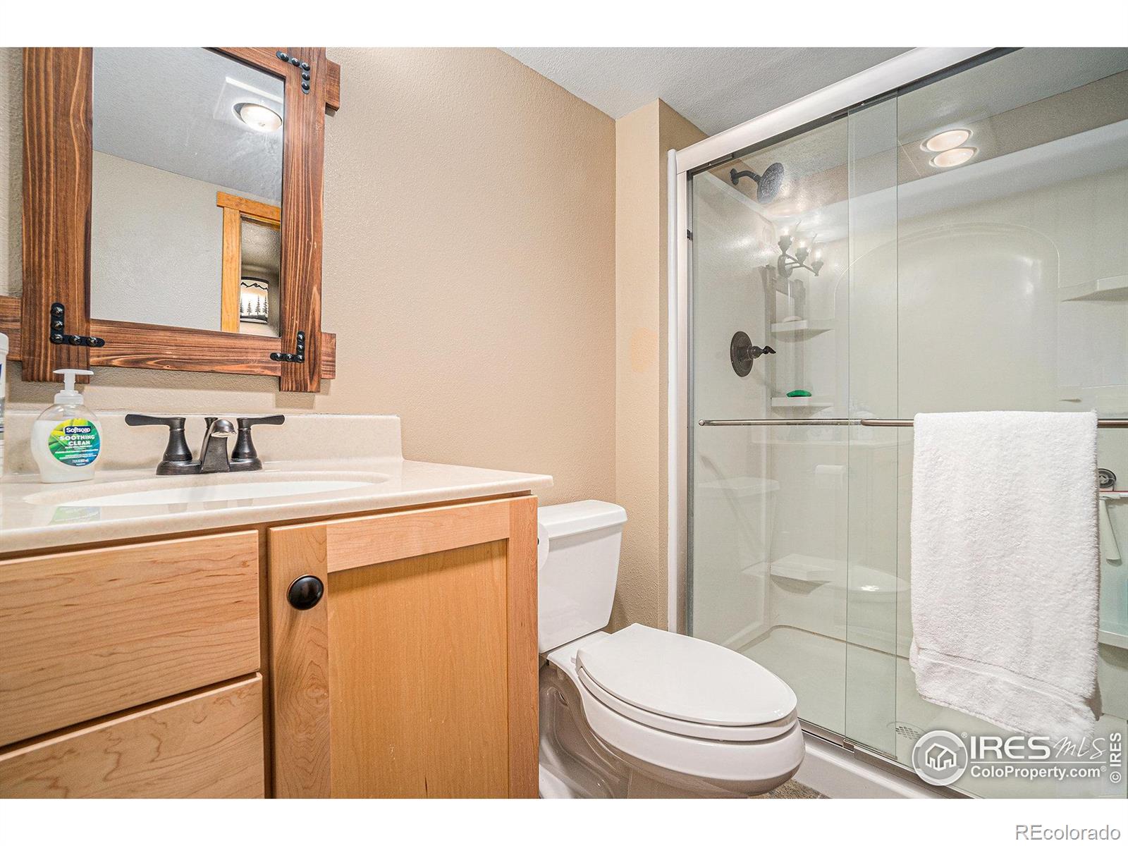 MLS Image #20 for 8962  smoke signal way,wellington, Colorado