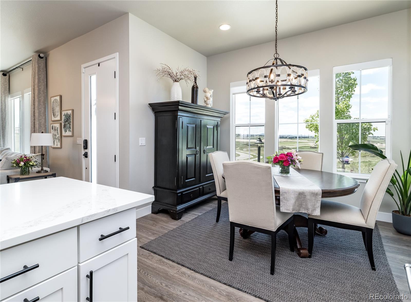 MLS Image #10 for 6235  stable view street,castle pines, Colorado