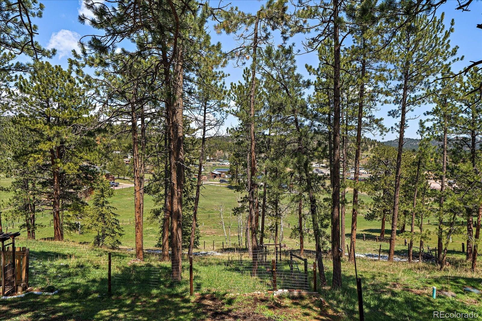 MLS Image #25 for 29827  gigi road,evergreen, Colorado
